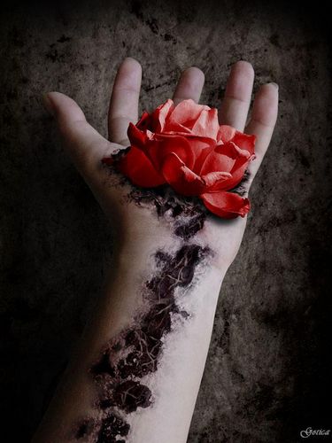 20296942_11web (375x500, 31Kb)