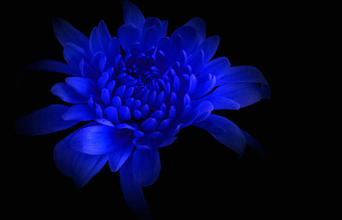 514 (700x449, 157Kb)