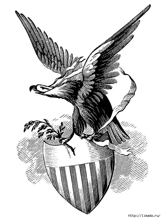 Eagle-Shield-Patriotic-GraphicsFairy (518x700, 212Kb)