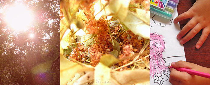 4052195_IMG_01881 (700x284, 281Kb)