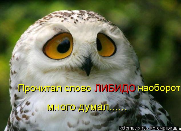  (634x461, 43Kb)