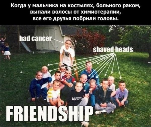 1328173000_friend_19 (600x504, 82Kb)