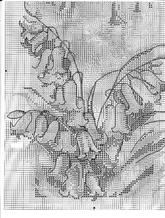 3 (528x700, 334Kb)