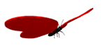 0_a23f0_62b3b1e3_L (150x75, 11Kb)