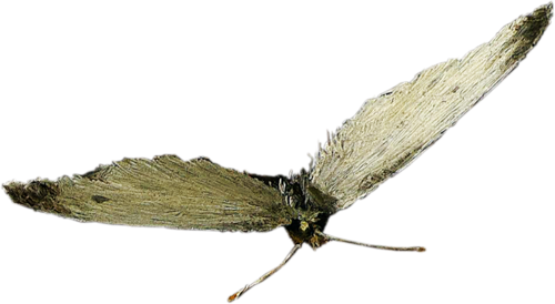 0_ad003_e5d8716f_L (500x274, 105Kb)