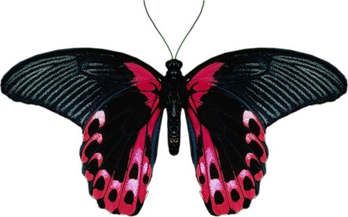 0_ad04f_584eaba5_L (500x312, 177Kb)