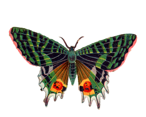 0_ad06c_3d6efa5e_L (500x400, 184Kb)