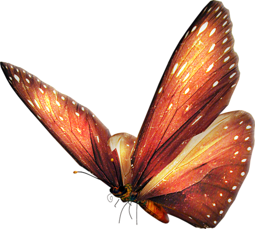 0_ad039_486c519d_L (500x450, 269Kb)