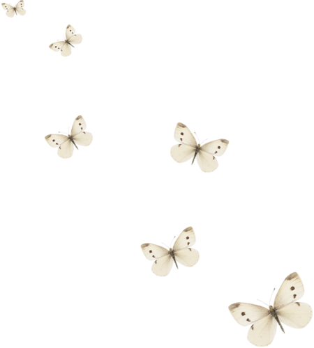 0_ad042_c7e96952_L (450x500, 52Kb)