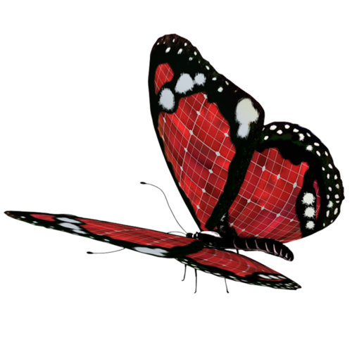0_ad061_8020fb3e_L (500x500, 161Kb)