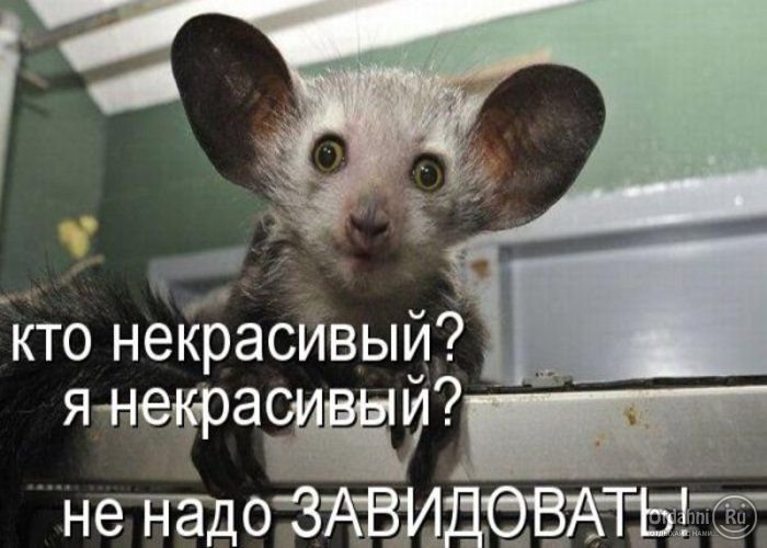 4326608_otdahni_ru_1302866962_57e3427c730116 (700x500, 63Kb)