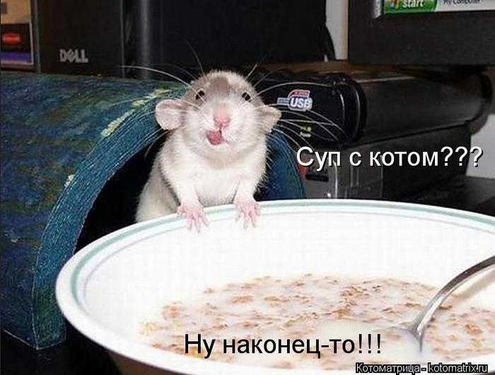 4326608_default (700x530, 51Kb)