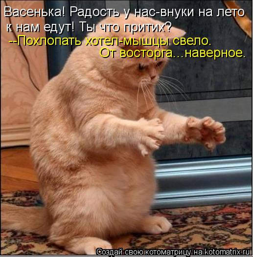 4326608_kotomatritsa_3S (517x527, 54Kb)