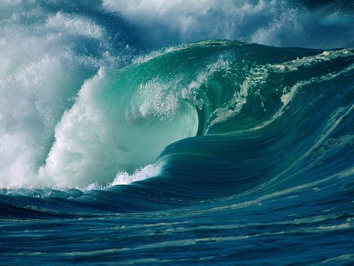 wetfvb (700x525, 120Kb)