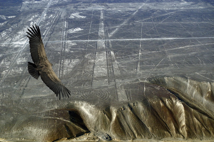 3623822_nazca_peruvian (700x464, 146Kb)
