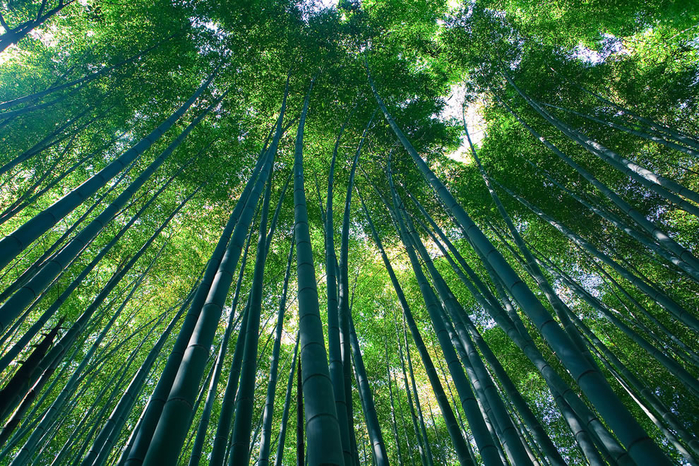 (1) (700x466, 656Kb)