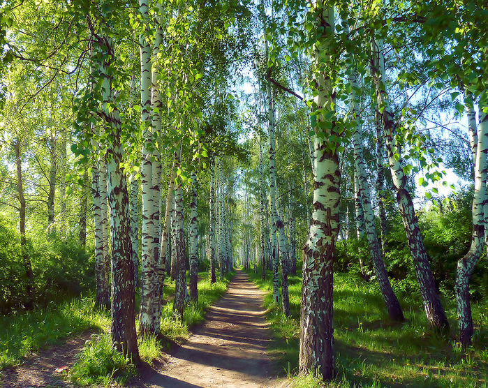 0_8c4b3_850b4972_XL (700x556, 404Kb)