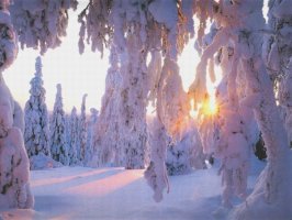 thumbs_493b8ab37e782 (266x200, 14Kb)