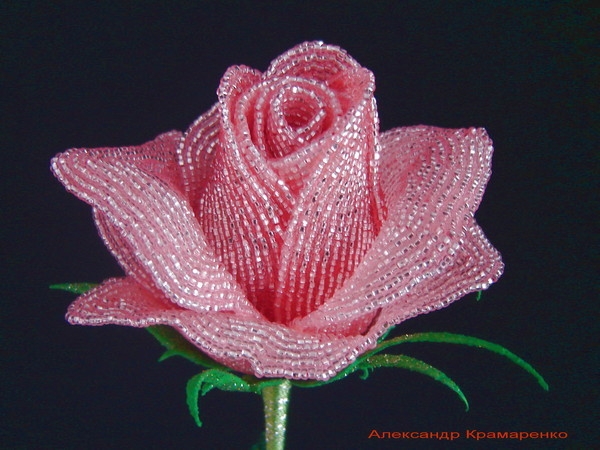 Французские розы из бисера от Александра Крамаренко (5) (600x450, 192Kb)
