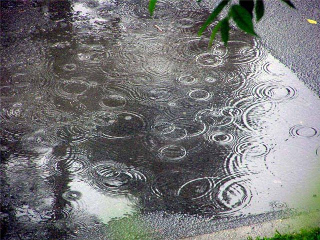 4052581_47022518_698f7d37a1f7 (640x480, 111Kb)