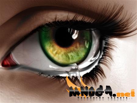 1269283094_f4dbeff2-bc20-408a-b388-63f1776b8707 (450x337, 29Kb)