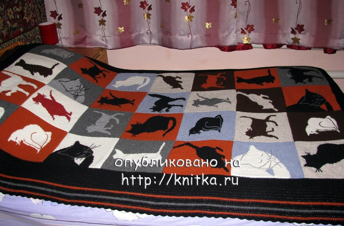 pled_koshki2 (1) (700x459, 288Kb)