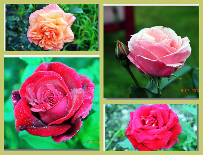3587765_Collage006 (700x537, 120Kb)