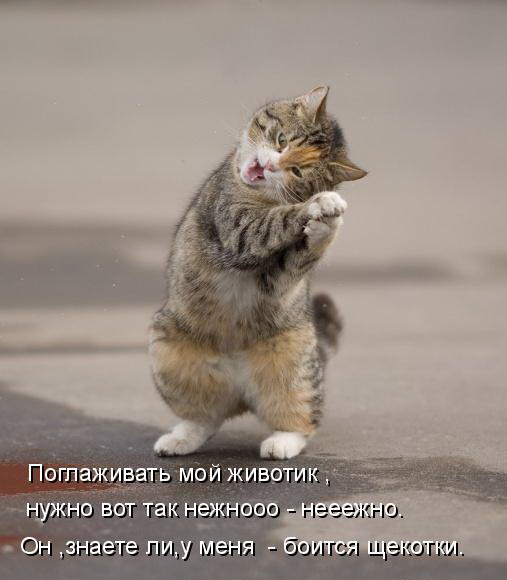 1261328360_437362 (507x580, 54Kb)