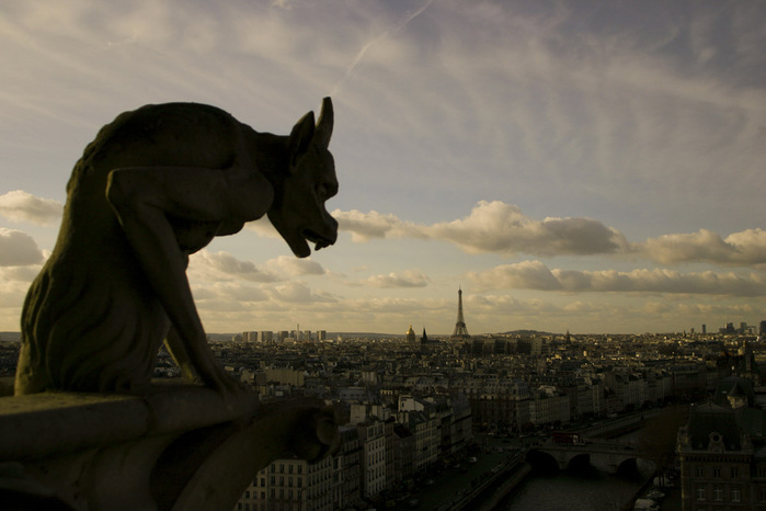 3623822_notredamegargoyleoverlookingparis (700x466, 81Kb)