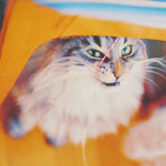 2245788_7425797ccefe (150x150, 9Kb)