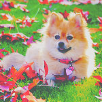 2245788_tumblr_lx8ojqyvJ41qe0mypo1_ (150x150, 17Kb)