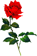 0_7d3af_83fbae79_M (127x189, 82Kb)