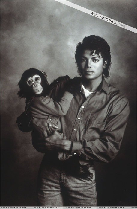 Michael+Jackson+005 (457x700, 56Kb)