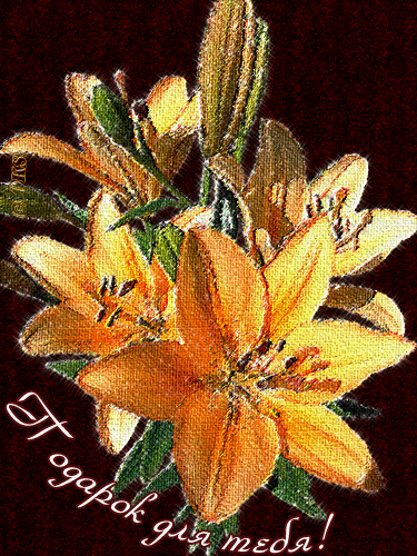 0cffaead349207902458c1fa537b09a8 (375x500, 376Kb)