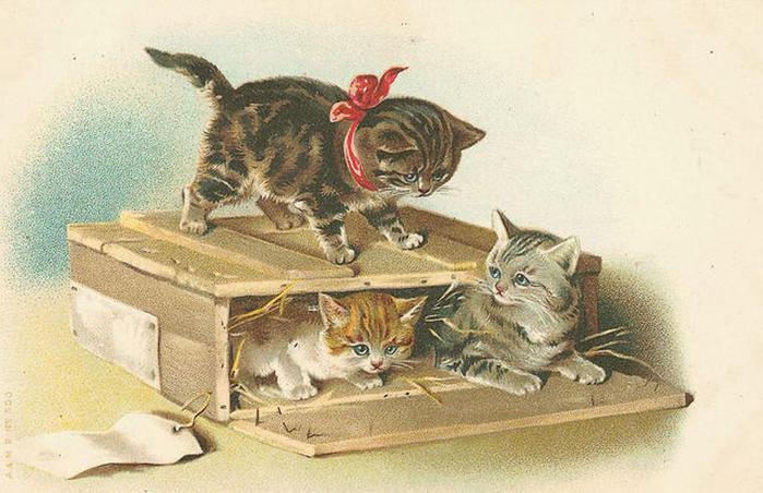 2795685_VintageCats77 (700x452, 56Kb)