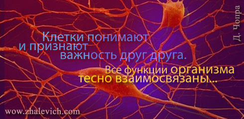 643384_aforizm301 (490x240, 45Kb)