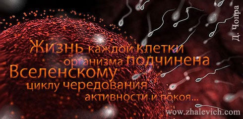 643384_aforizm303 (490x240, 50Kb)