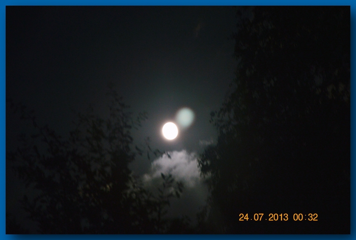 3587765_DSC_12961 (700x472, 156Kb)