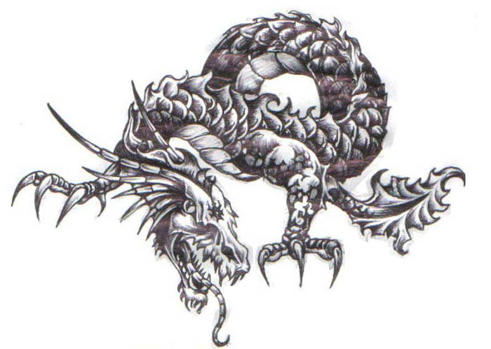 24306072_drakon (700x498, 70Kb)