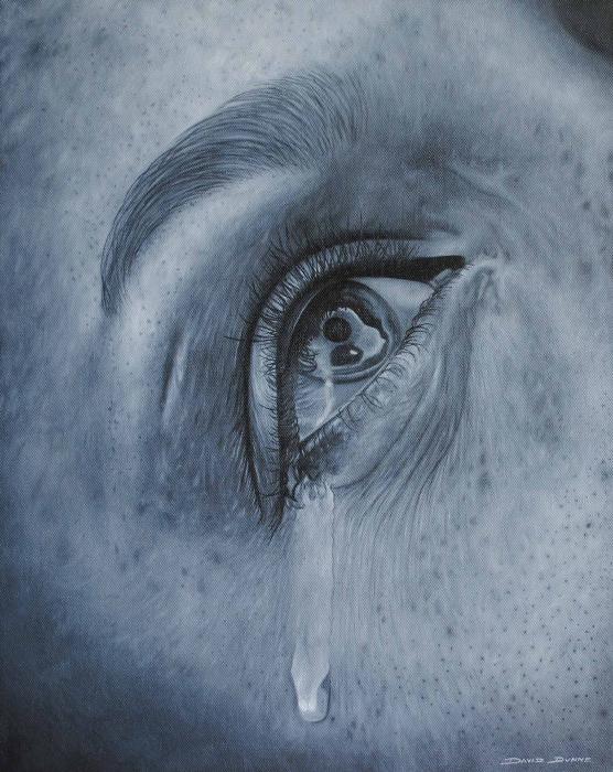 97019059_1David_Dunne (556x700, 79Kb)