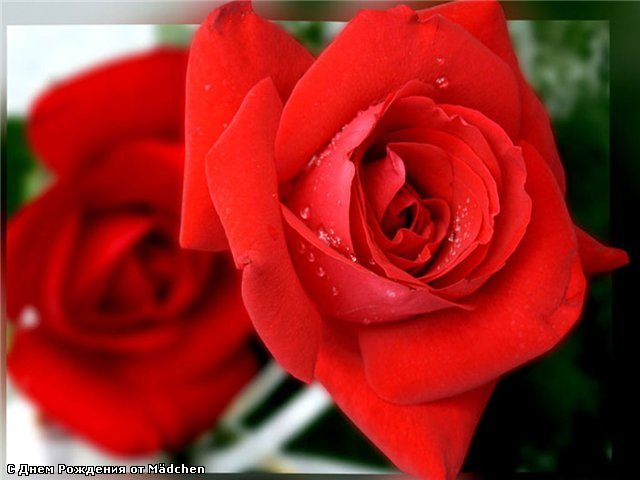 8b57033fc49c (640x480, 41Kb)