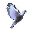 5446043 (134x99, 35Kb)