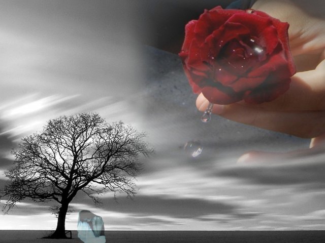 57428075_2b252343fa01e04fd089c50f2ffbbeb3 (640x480, 51Kb)