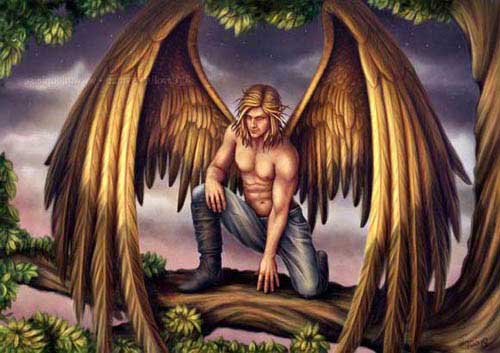 angel_147_small (500x353, 31Kb)