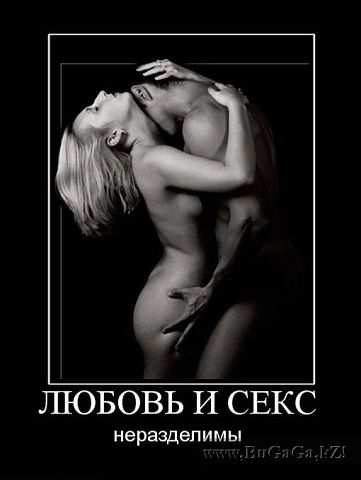 getImage (28) (361x480, 12Kb)