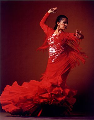 75597423_Cal_CaminosFlamenco_5010_opt (300x384, 16Kb)
