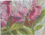  Stitchart-rozovye-piony4 (700x548, 412Kb)
