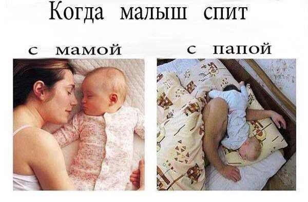 5107888_l8ivpPuSus (600x395, 41Kb)