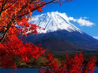 product2-20120804-140248 (320x240, 76Kb)