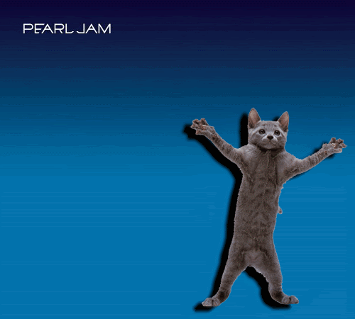 cat-pj (500x450, 115Kb)